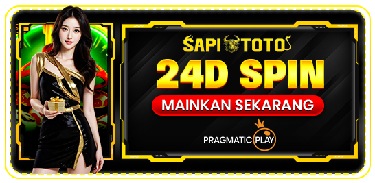 24D SPIN